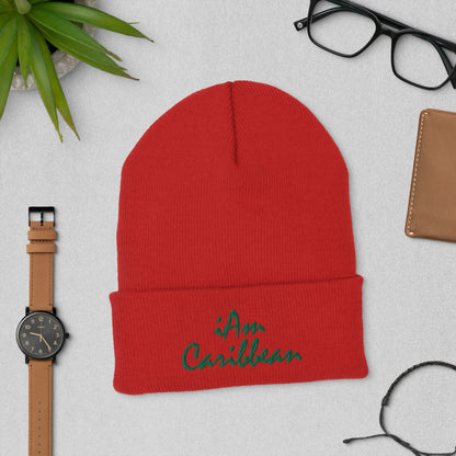 iAm Caribbean Cuffed Beanie