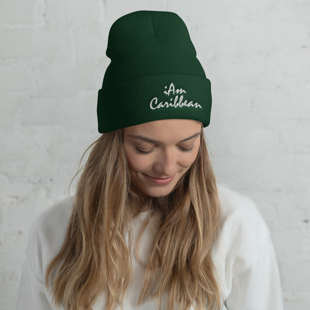 iAm Caribbean Cuffed Beanie