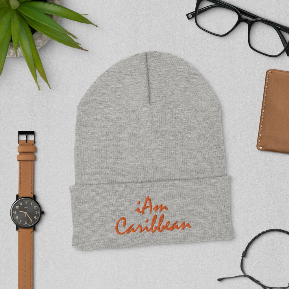 iAm Caribbean Cuffed Beanie