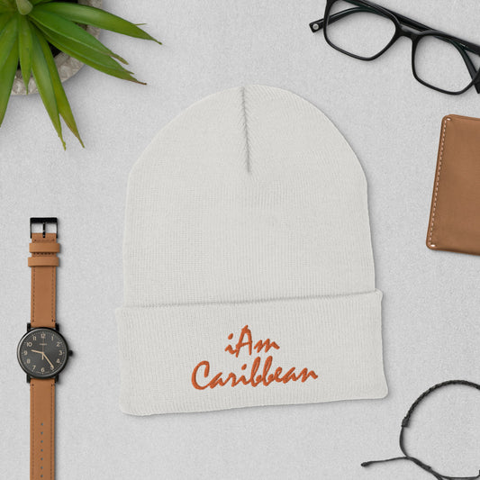 iAm Caribbean Cuffed Beanie