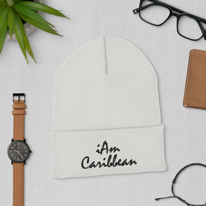 iAm Caribbean Cuffed Beanie