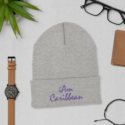 iAm Caribbean Cuffed Beanie