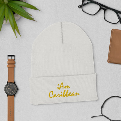 iAm Caribbean Cuffed Beanie