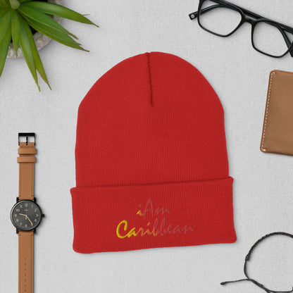 iAm Caribbean Cuffed Beanie