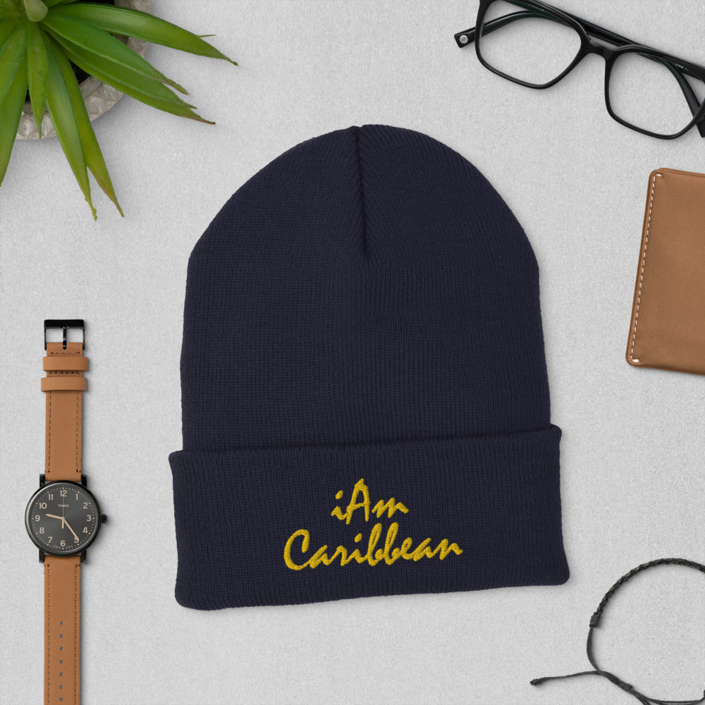 iAm Caribbean Cuffed Beanie