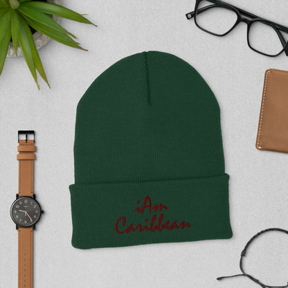 iAm Caribbean Cuffed Beanie