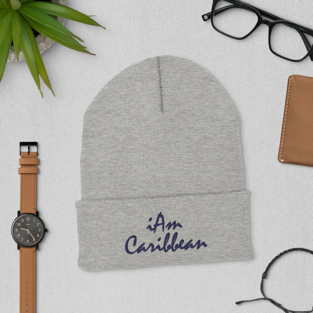 iAm Caribbean Cuffed Beanie