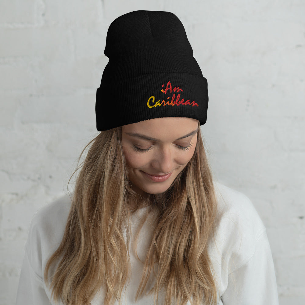 iAm Caribbean Cuffed Beanie