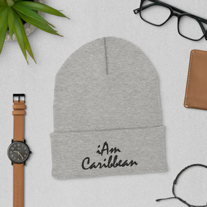 iAm Caribbean Cuffed Beanie