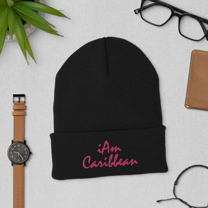 iAm Caribbean Cuffed Beanie