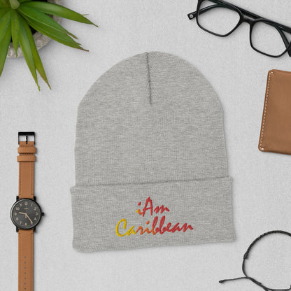 iAm Caribbean Cuffed Beanie