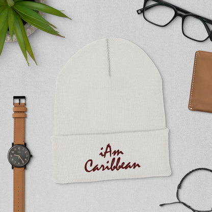 iAm Caribbean Cuffed Beanie