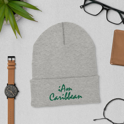 iAm Caribbean Cuffed Beanie